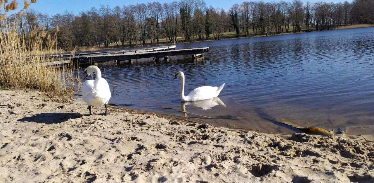 Szary Domek Nad Jeziorem Kołczewo Dış mekan fotoğraf